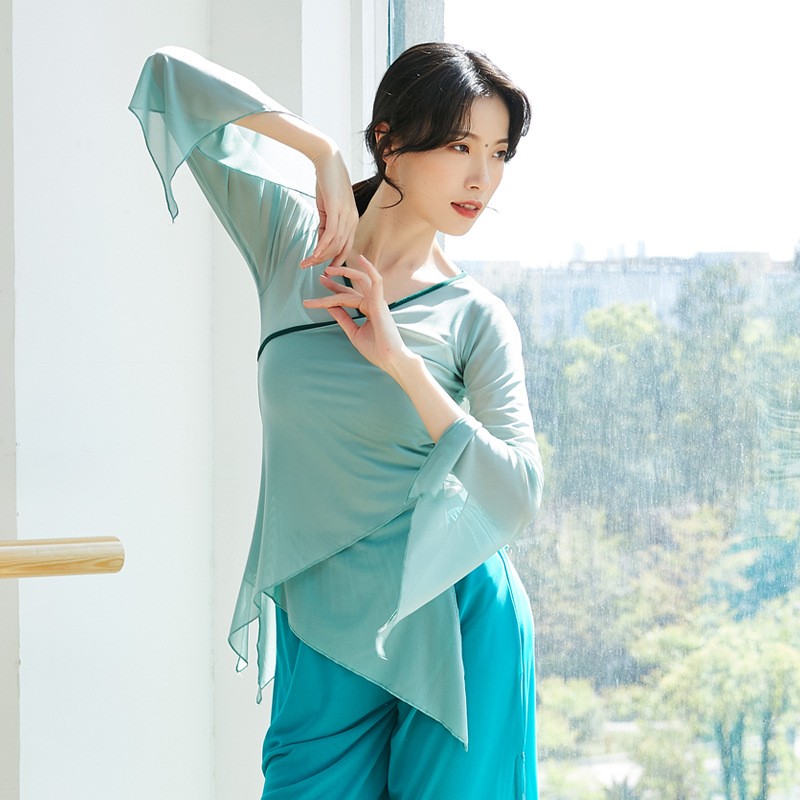 古典舞身韵纱衣女飘逸练功服装上衣中国民族舞蹈表演出服