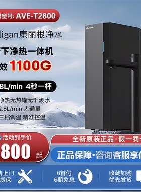 lign康丽根小黑龙即热净水器加热直饮一体机O反渗透净水机