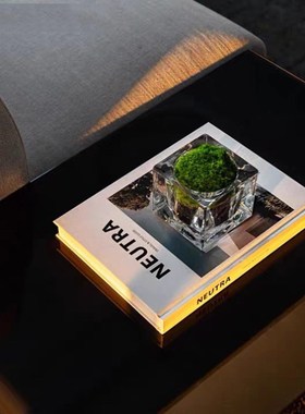 卧室客厅床头柜茶几书柜酒柜挂画小绿植真书蜥蜴金属装饰