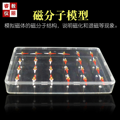 磁分子模型24只菱形小磁针模拟磁体磁化和退磁物理电磁学实验器材