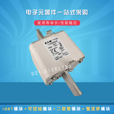 全新巴斯曼熔断器170M6801 6802 6803 6804 6805 6806 6807 6808