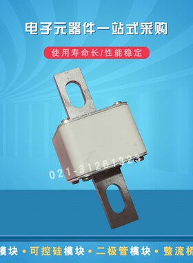 快速熔断器保险丝170M5616 5617 5618 5644 5645 5646 5647 5648