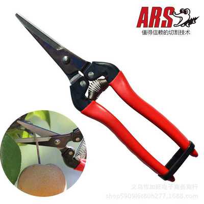 日本原装爱丽斯ARS 300L园林工具采果剪稀果剪刀长嘴摘果剪子