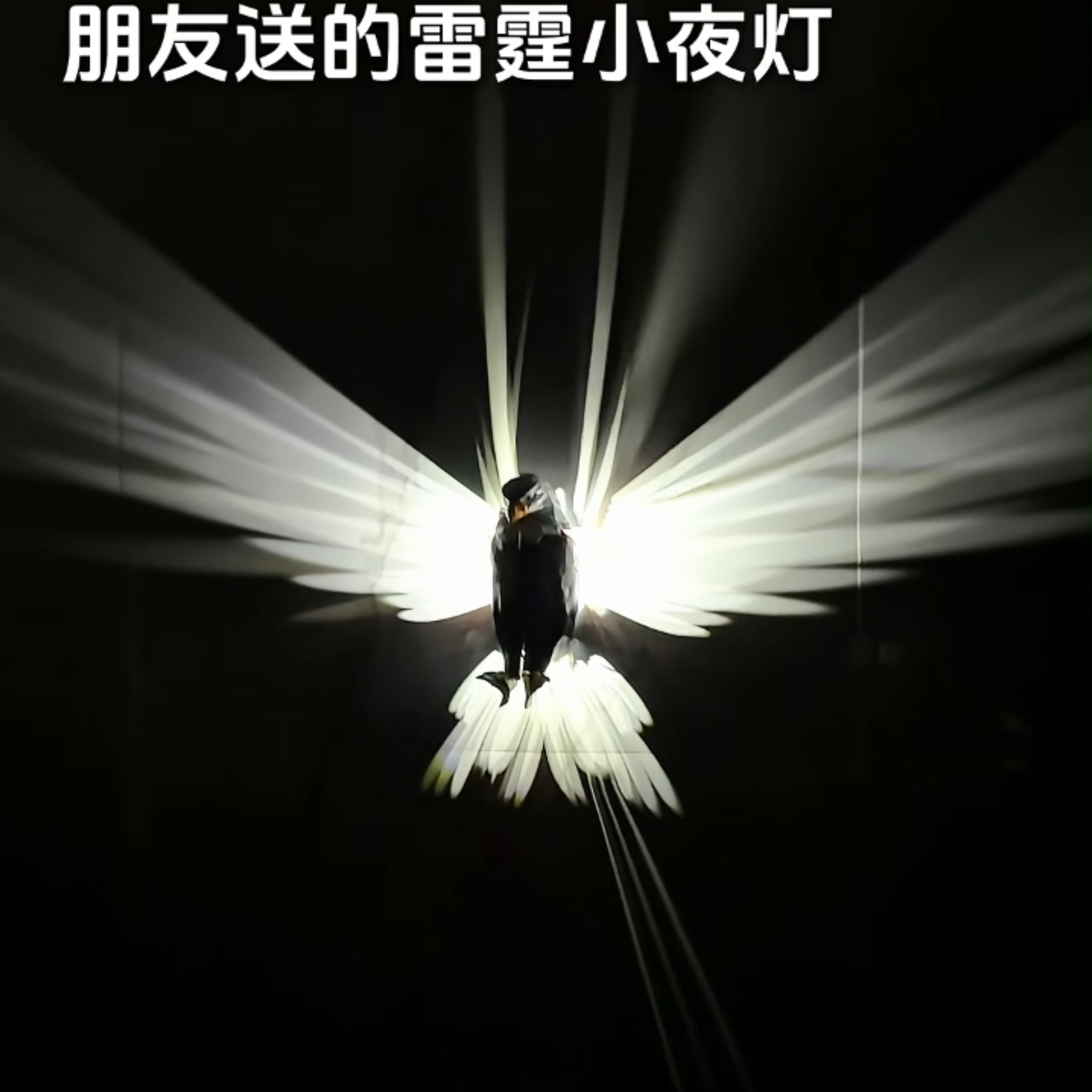 老鹰遥控壁灯简约动物投影灯壁挂个性壁灯轻奢创意家用小夜灯