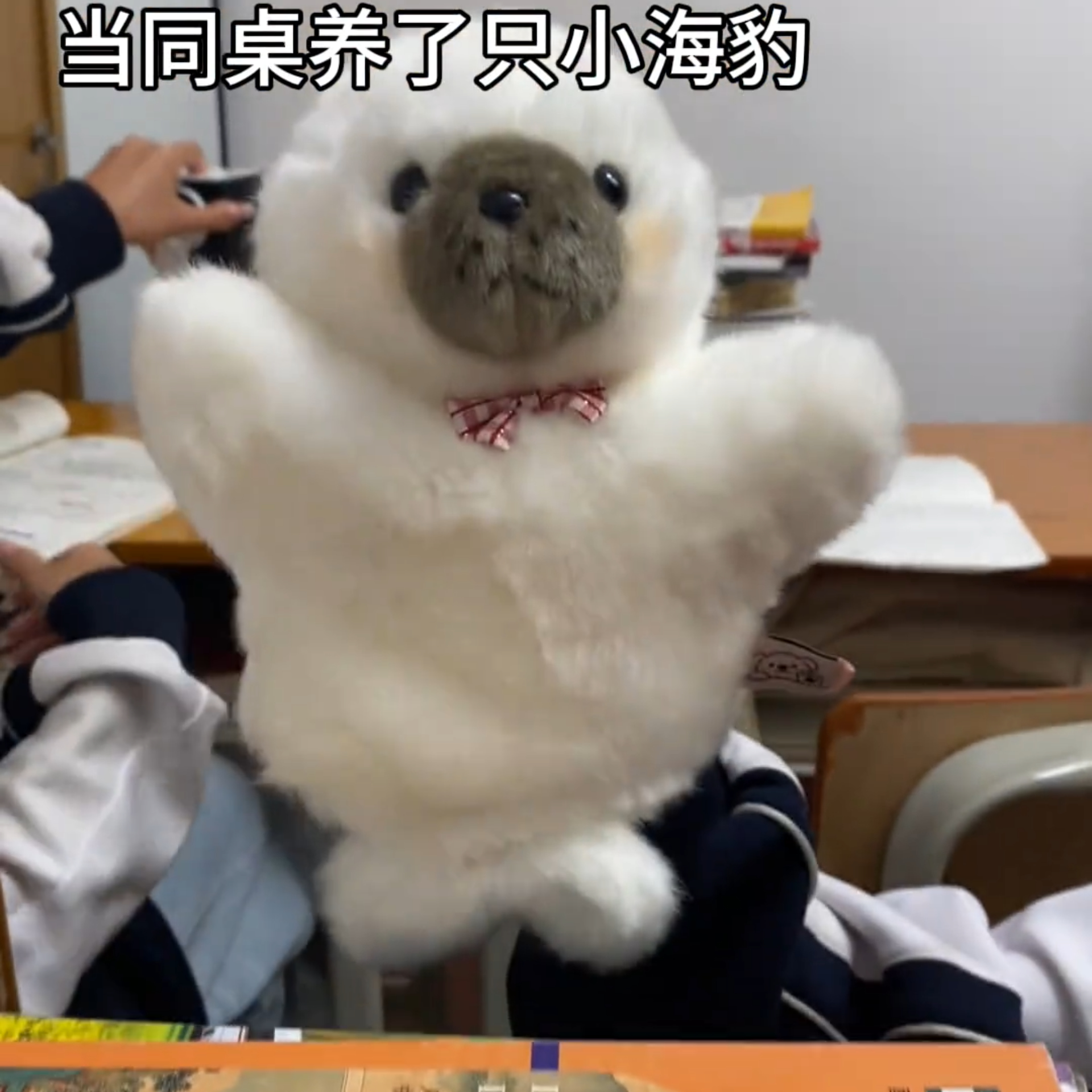 可爱海洋动物海豹蝴蝶结玩偶女生睡觉抱枕礼物创意玩偶