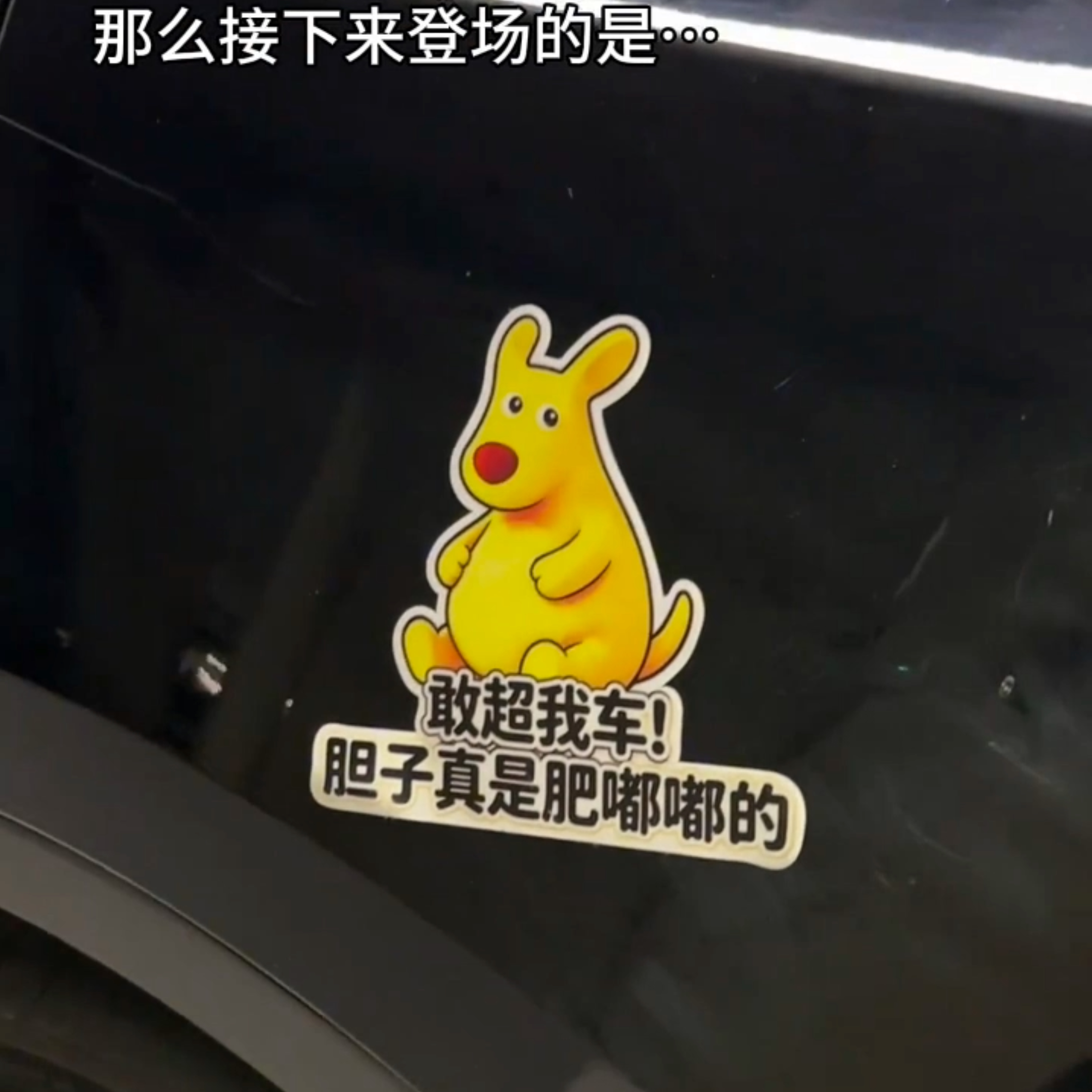 磁贴黄袋鼠汽车贴纸搞笑文字胆子真是肥嘟嘟的车身个性创意装饰贴