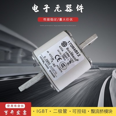 熔断器保险丝170M4008 4009 4010 4011 4012 4013 4014 4015 4016
