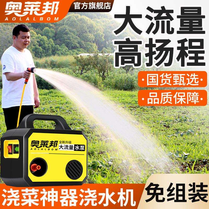 浇水浇菜神器浇水机农村菜地农用自动浇地充电式抽水泵锂电抽水机