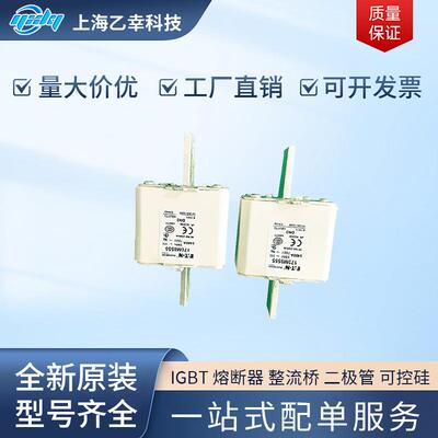 巴斯曼熔断器 170M8618 170M8619 170M8620 170M8621 170M8622