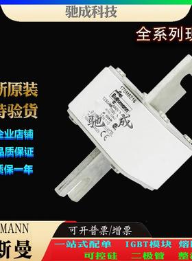 巴斯曼170M6216 170M6217 170M6218 加工制作价格优惠 原装熔断器