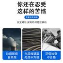 垃圾焚烧炉工业废弃物环保无烟味高温热解设备宠物猫狗尸体焚化炉