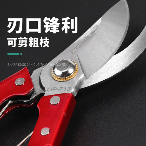 剪枝果树修枝剪刀园艺修剪树枝园林省力修花枝剪家用工具剪子神器