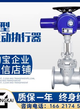 电动闸阀门Z941HW-16CP/25耐特铸钢不锈钢304法兰高温蒸汽DN80300