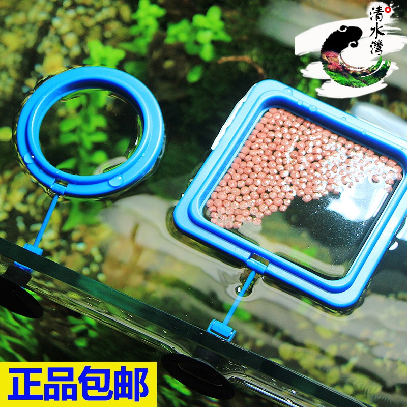 鱼缸喂食器 水族箱投食器投食圈 小型鱼缸喂食漂浮圈投喂鱼食包邮