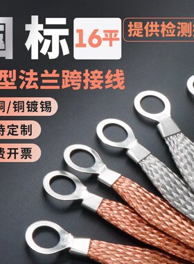 16平方法兰跨接线门窗幕墙防避雷铜导线纯铜静电编织带桥架接地线