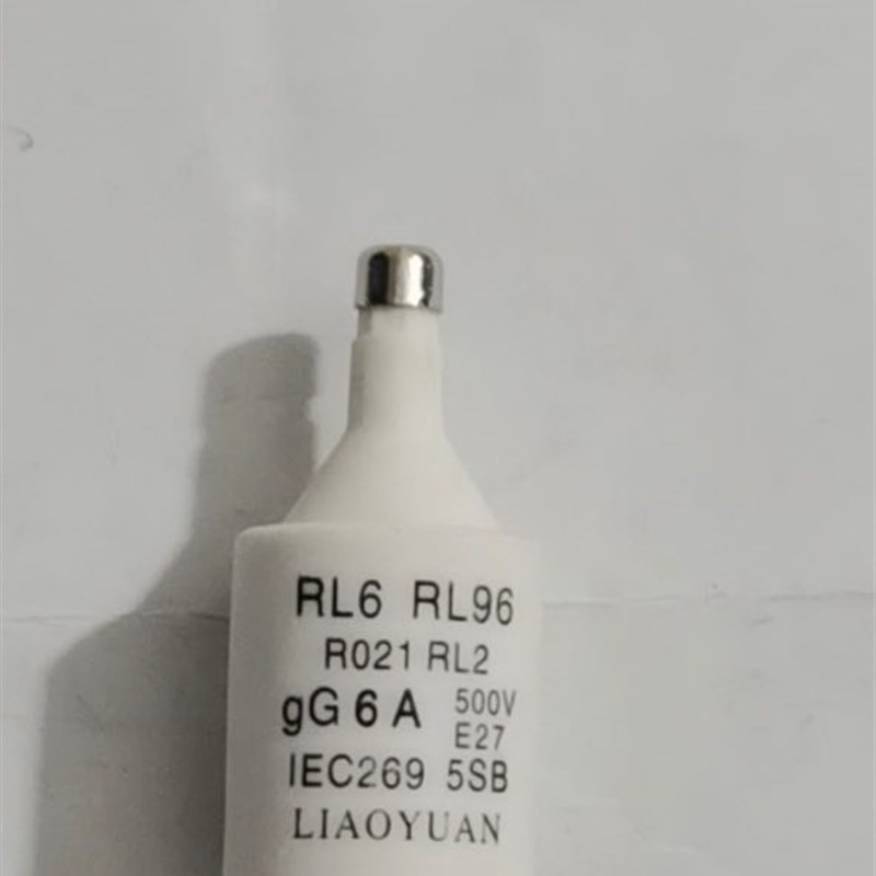 浙江燎原RO21(RL6-25)2-25A  R021(一盒20只)