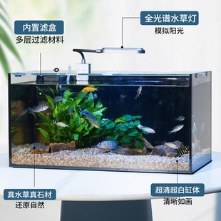 鱼缸生态桌面造景家用金晶w超白玻璃中小型客厅鱼缸生态水景缸