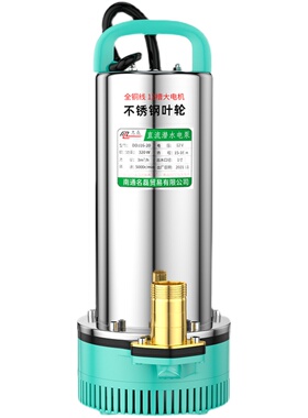 直流潜水泵电动车灌溉家用农用24v48v抽水机12v6T0v高扬程潜水泵