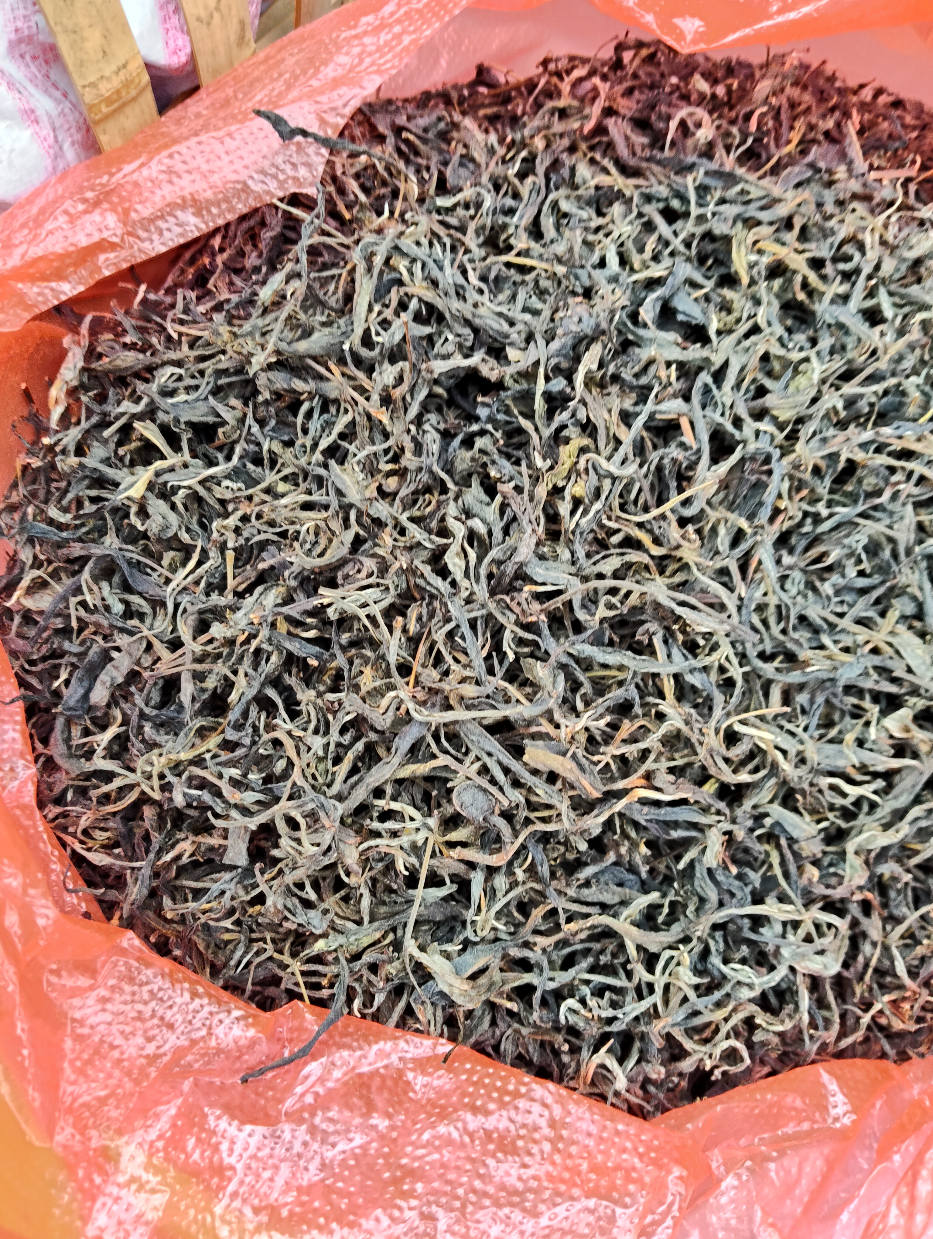 农家古树茶纯手工制作