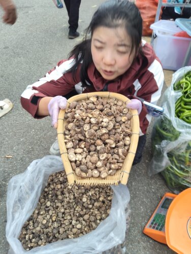 小香菇