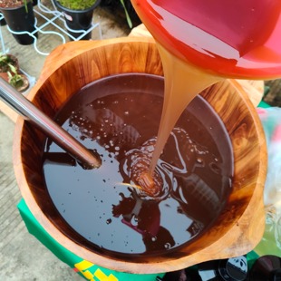 何首乌人参灵芝侧柏叶无患子皂角生姜等…24种天然名贵药材洗发水