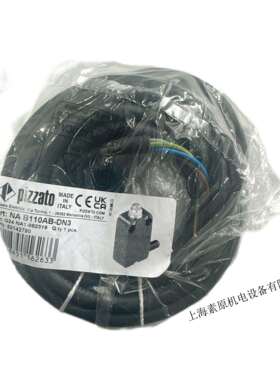 Pizzato意大利原装进口限位开关NAB110AB-DN3