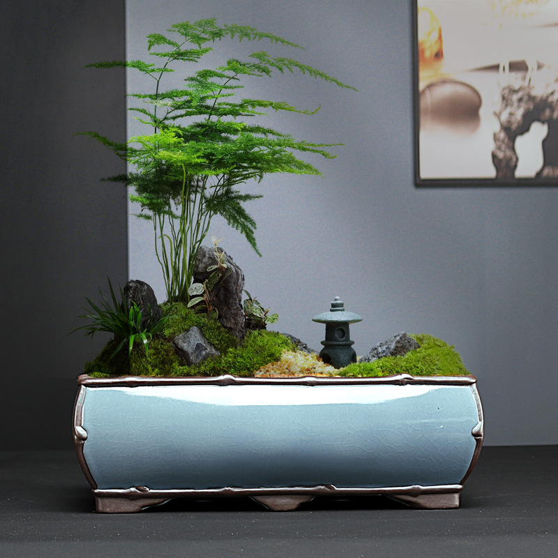 紫砂陶瓷长方形蝴蝶兰花盆米竹菖蒲造景文竹山水绿植盆景器皿