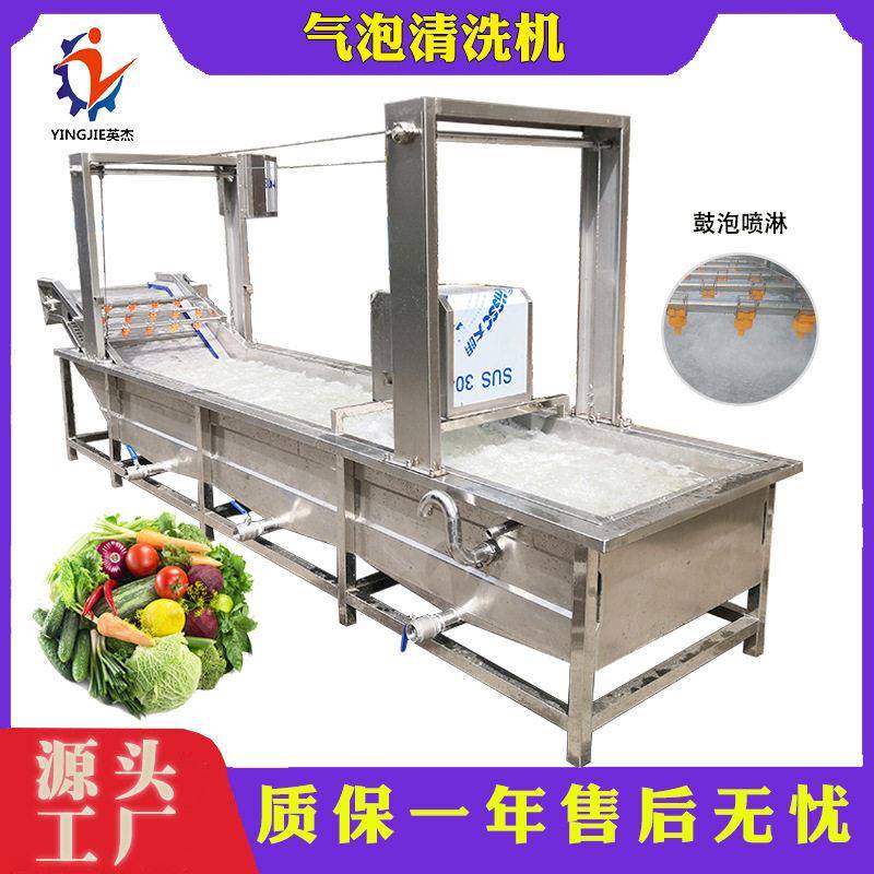 果蔬气泡清洗机白菜娃娃菜清洗去泥沙虫卵农残商用洗菜机器