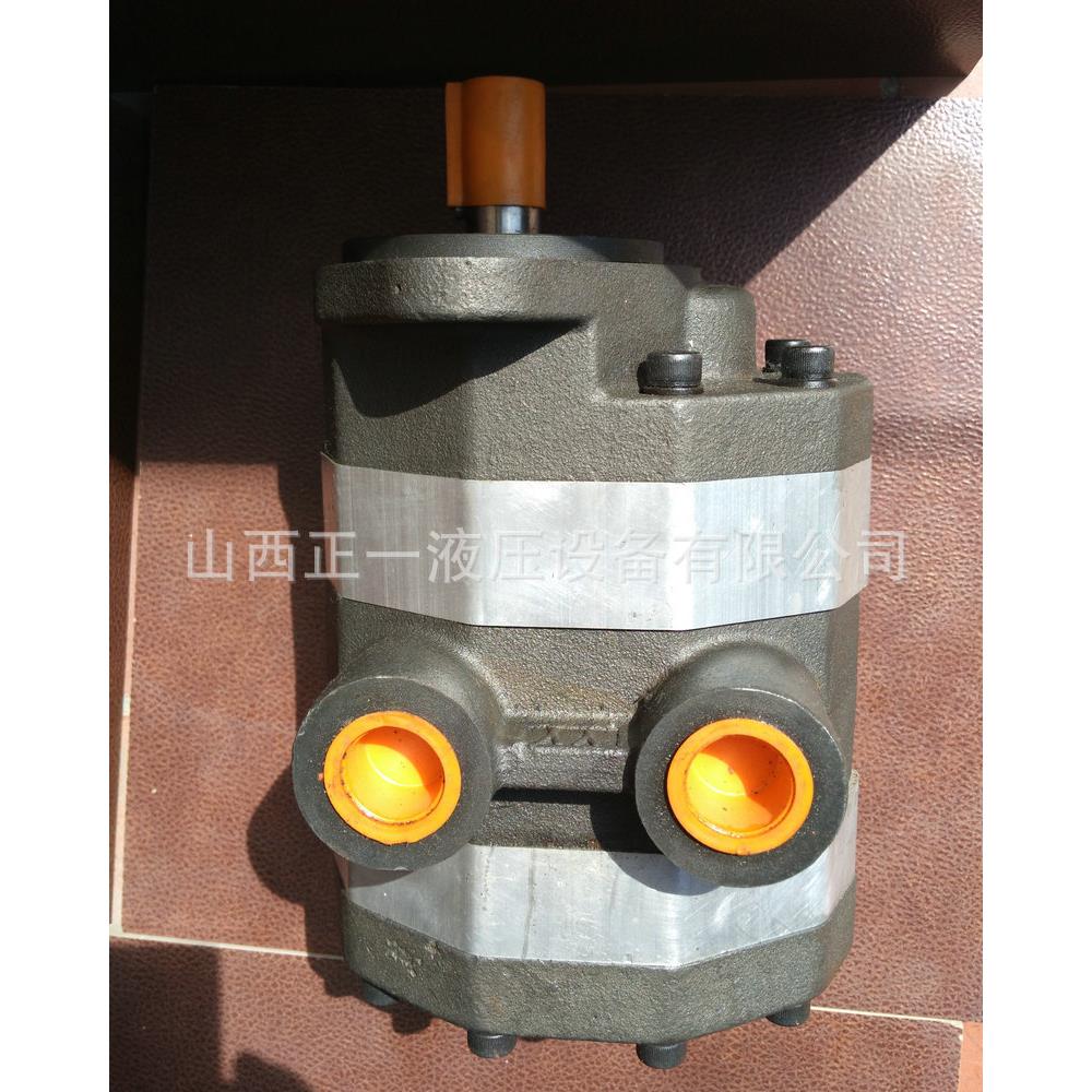 2CB-FC40/10双联齿轮泵 高压齿轮液压双联泵 双联铝合金齿轮泵