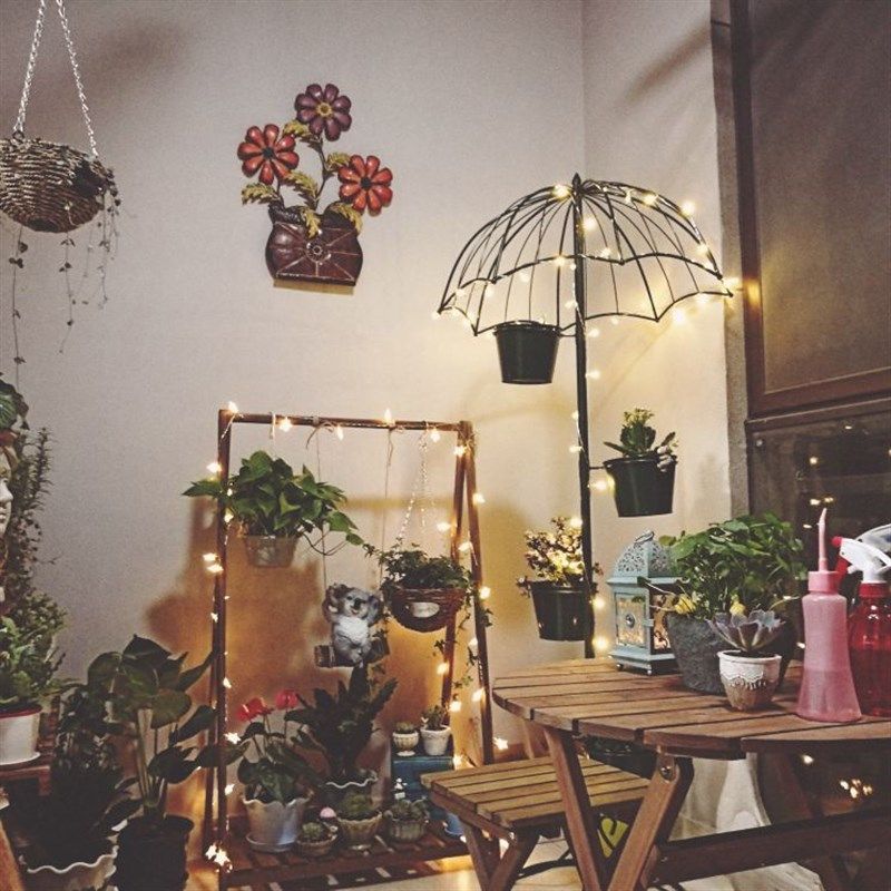 多层雨伞植物花架复古铁艺花园包邮阳台装饰庭院落地多肉花盆花店,鲜花速递/花卉仿真/绿植园艺,花盆,淘宝优惠券,粉丝福利购,淘宝优惠卷