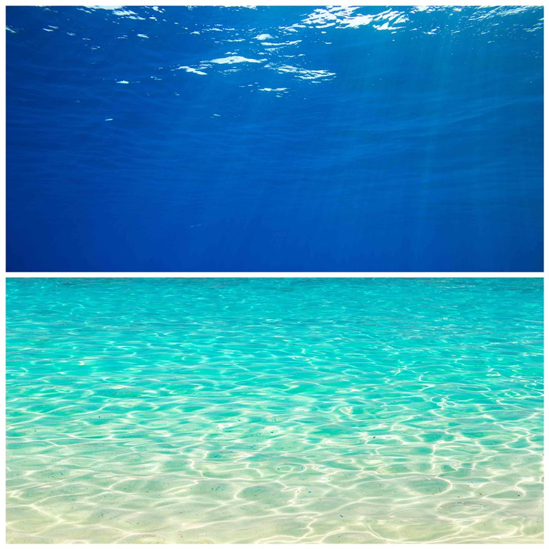 鱼缸背景贴画海底世界定制水族箱桌面缸