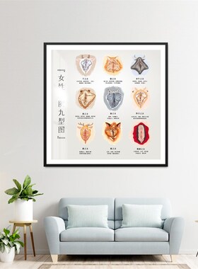 生殖九型抽象艺术挂画 男性丁丁女性私密保养装饰画妇科医院墙画