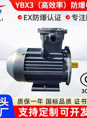 YB2YB3660V1100V防爆电机YBX3-250M-4/55W隔爆三相异步电机