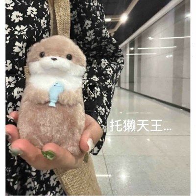 日单amuse小水獭抱鱼毛绒玩具公仔玩偶挂件李灿送礼物海獭河狸
