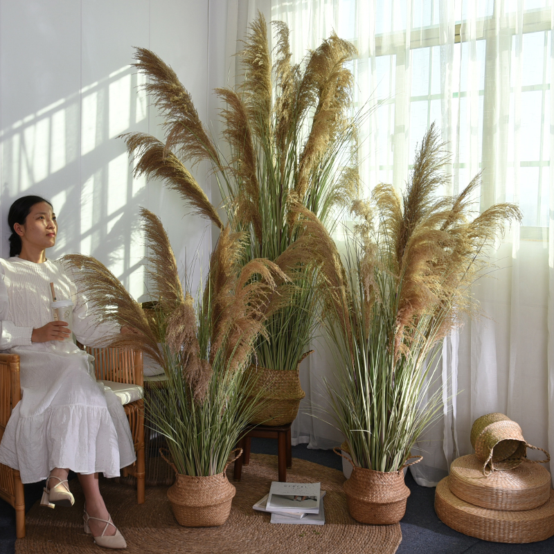 满阳彷真芦苇草天然干 干燥花绿植摆件假花植物盆栽家居店铺造景