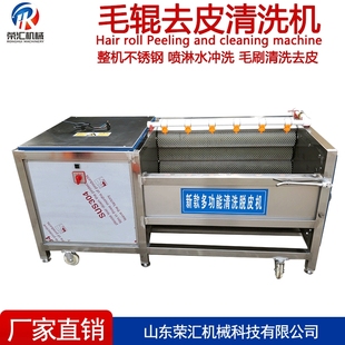供应荸荠毛辊清洗去杂机  芋头去皮清洗机 田螺去泥毛刷清洗机
