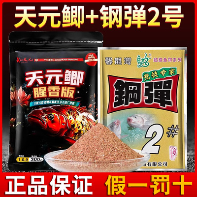 武汉天元邓刚天元鲫腥香版鲫鱼饵料秋冬季野钓专用垂钓钓鱼鱼饵料