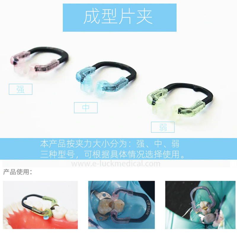 牙科口腔材料 康田正豆瓣成型片夹 三种型号可选补牙工具正畸材料