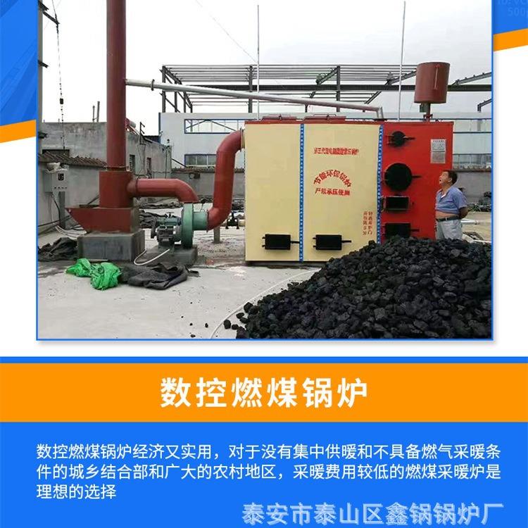 大型数控多燃料燃煤锅炉水产养殖锅炉热效率高新能源环保型锅炉