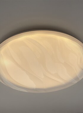 卧室灯现代简约ljed吸顶灯创意花型儿童房灯大气房间灯2024新款灯