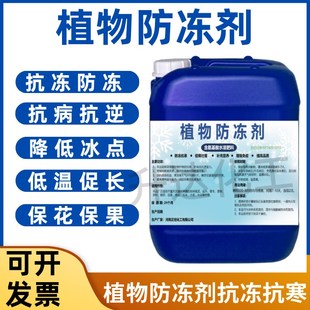 植物防冻剂叶面肥果树蔬菜苗木大棚防冻液倒春寒霜防寒抗寒抗冻剂