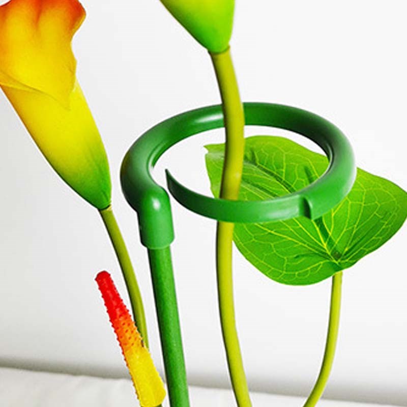 防倒伏支架蝴蝶兰爬藤园艺支撑杆花架子固定单杆支架支撑铁艺爬藤