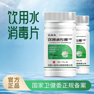 中居安 玖棠安净水片 净化生活饮用水野外求生食用水消毒杀菌漂白