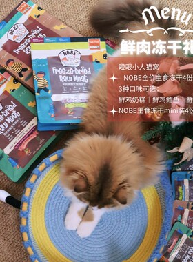 【正装】NOBE幼猫鲜鸡奶糕主食冻干猫粮