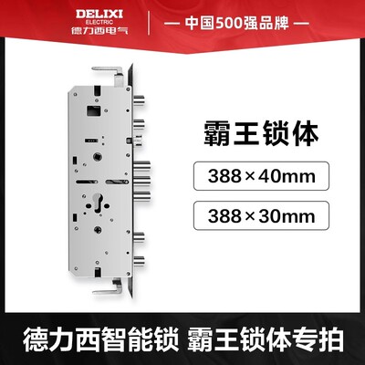 【选配】德力西智能锁专用霸王锁体定制链接（立即咨询）