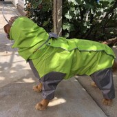 宠物狗狗雨衣中大型犬金毛萨摩阿拉斯加防水全包连帽四脚雨衣雨具