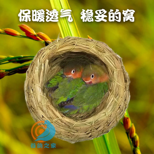 芙蓉文鸟牡丹虎皮鹦鹉鸟巢草编鸟窝鹦鹉窝玉鸟繁殖窝稻草保暖草窝