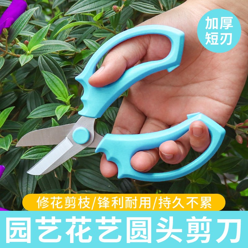 园艺剪刀家用剪树枝剪花剪纸专用剪刀修剪剪刀手工花艺剪刀修枝剪