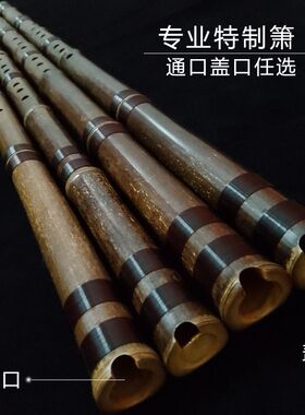竑韵吹奏乐器e调d调高级专业级八孔封口洞箫演奏级紫竹清雅长萧笛