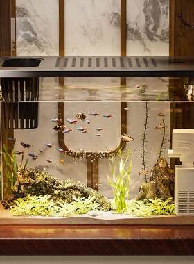 家用迷你生态鱼缸透明塑胶金鱼缸客厅桌面造景附氧泵